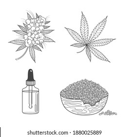 Marijuana or cannabis set: hemp leaf, seeds, oil, cones and inflorescence. Vector illustration in hand drawn line sketch on white background