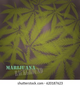 Marijuana or cannabis vector