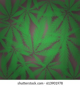 Marijuana or cannabis vector background