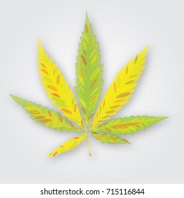 Marijuana or cannabis vector. Colorful leaf element