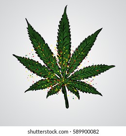 Marijuana or cannabis vector doodle leaf