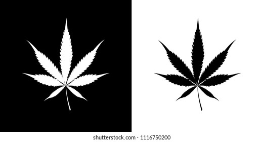 Marijuana and cannabis. Vector image.