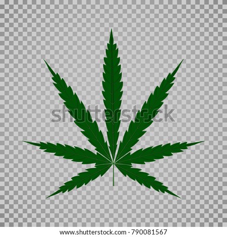 Marijuana or cannabis vector leaf. EPS10