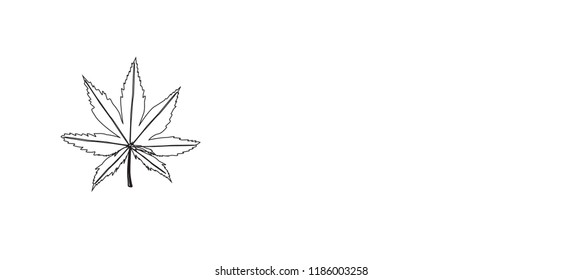 Hoja de Vector de marihuana o cannabis.Plantilla de logotipo de icono de hoja de marihuana.CANNABIS.