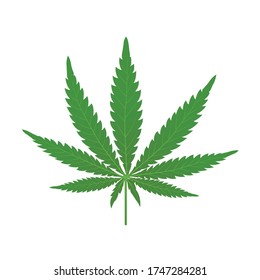 Hojas vectoriales de marihuana o cannabis, Ilustración vectorial de una hoja de una planta de cannabis.