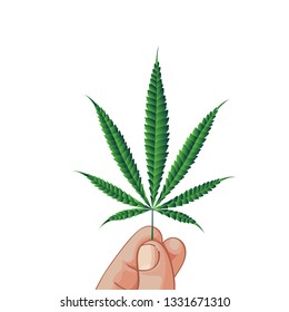 marijuana, cannabis vector on white background