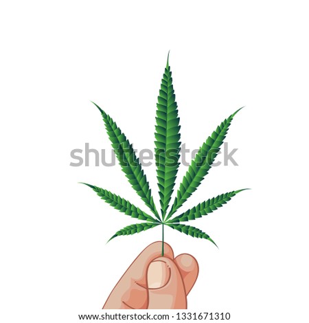 marijuana, cannabis vector on white background