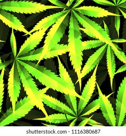 Marijuana and cannabis. Vector pattern of green plant leaves on a black background.