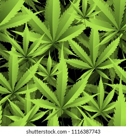 Marijuana and cannabis. Vector pattern of green plant leaves.