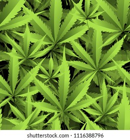 Marijuana and cannabis. Vector pattern of green plant leaves.