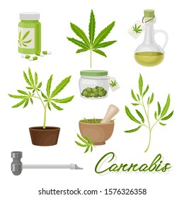 Marijuana or Cannabis Vector Volume Set. Medical Smoking Weed