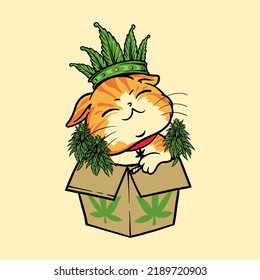 Marijuana Cat Box Vector Illustration