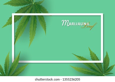Marijuana concept and face paragon and legislation social issue as medical and recreational weed usage on green background symbols in a 3D illustration style.