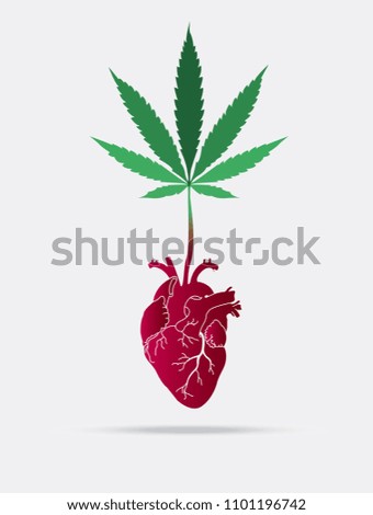 Marijuana is a drug for the heart