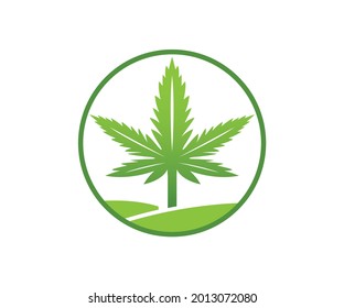 Marijuana Farm Logo Design Cannabis Land Stock Vector (Royalty Free ...