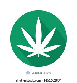 marijuana flat template icon, cannabis vector element