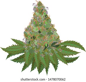 Marijuana flower illustration vector file