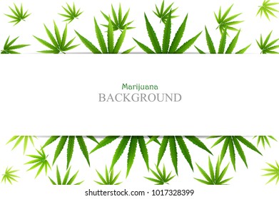 Marijuana Frame Green Leaf and black marijuana hookah. Cannabis marijuana hemp leaf in white color Vector Illustration background