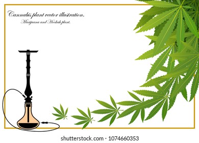 Marijuana Frame Green Leaf and black marijuana hookah. Cannabis marijuana hemp leaf in white color Vector Illustration background