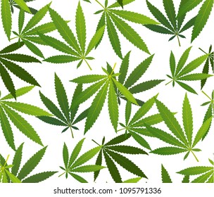 Marijuana Frame Green Leaf and black marijuana hookah seamless pattern. Cannabis marijuana hemp leaf in white color Vector Illustration background.