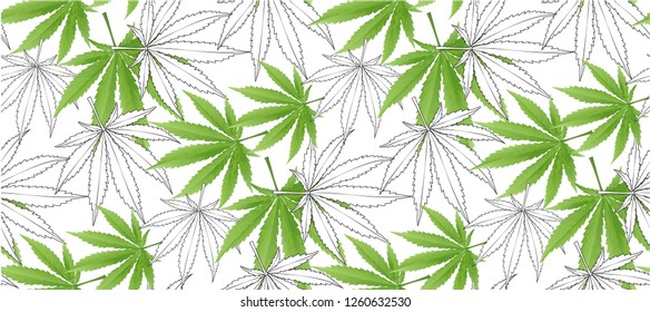 Marijuana Green Leaf and black drawing marijuana seamless pattern. Cannabis marijuana hemp leaf in white color Vector Illustration background.