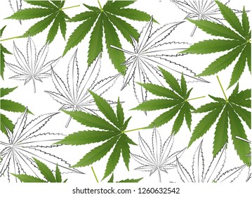 Marijuana Green Leaf and black drawing marijuana seamless pattern. Cannabis marijuana hemp leaf in white color Vector Illustration background.