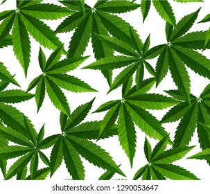 Marijuana Green Leaf and black drawing marijuana seamless pattern. Cannabis marijuana hemp leaf in white color Vector Illustration background.