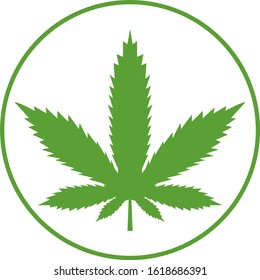 Marijuana green leaf in circle icon or cannabis icon. Vector illustration