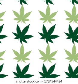 Marco verde de hoja de marihuana y marimacho negro de marihuana sin fisuras. hoja de cáñamo de color blanco Fondo vectorial