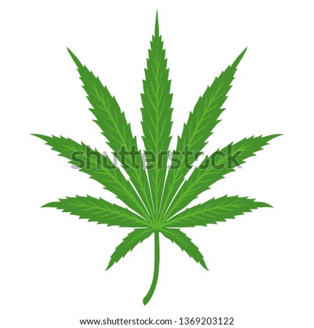 Marijuana Green leaf. Hemp marijuana hemp leaves in Flat Vintage Style. Vector illustration 