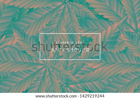 Marijuana green leaf label. and cannabis logo on leaves background . Graphic vector Illustrator.