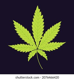 Marijuana grünes Blatt auf dunkelviolettem Hintergrund. Muster einer Suchtpflanze. Vektorgrafiken.