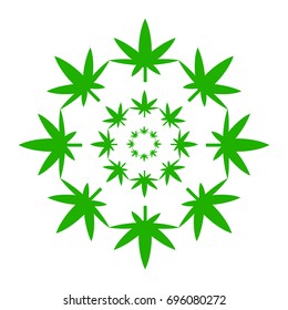 Marijuana green leaves in a circle isolated on white background