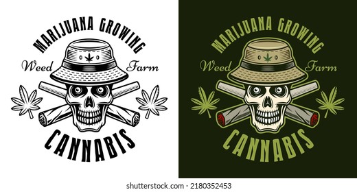 Emblema vectorial de la granja de marihuana, placa, etiqueta o logotipo con cráneo en sombrero de cubo y dos uniones cruzadas de malezas en dos estilos negro sobre blanco y colorido sobre fondo oscuro