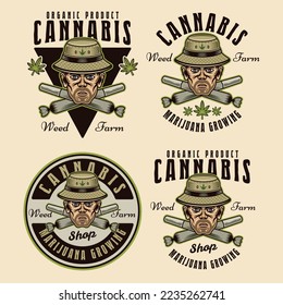 Marijuana growing set of four vector emblems, badges, labels or logos. Illustration in colorful style isolated on light background