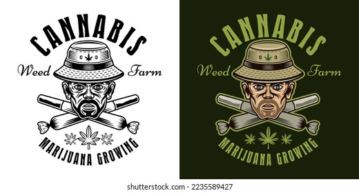 Emblema vectorial de marihuana, placa, etiqueta o logotipo con cabeza de forro en sombrero de cubo y dos uniones cruzadas de malezas dos estilos negro sobre blanco y colorido sobre fondo oscuro