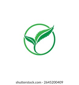 maconha cânhamo folha de cannabis design logotipo, cânhamo médico, óleo de cânhamo, folha de pote, emblema de cannabis medicinal, logotipo de óleo cbd, logotipo de cannabis