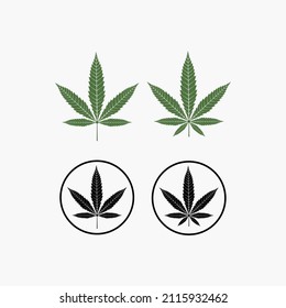 Diseño del logotipo de cultivo de cannabis en hojas de marihuana CBD 