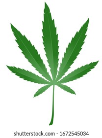 Hojas de cáñamo de marihuana aisladas en fondo blanco.  Ilustración médica del vector de cannabis. 
