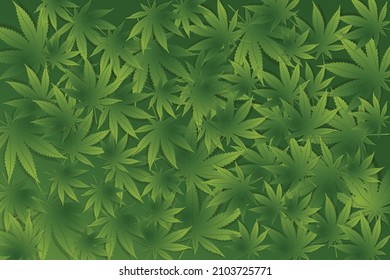 Marijuana hemp leaf vector illustration. Natural weed and joint leaves background. 