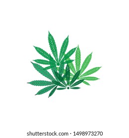 marijuana icon template, leaf cannabis vector element design