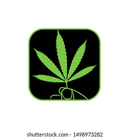 marijuana icon template, leaf cannabis vector element design