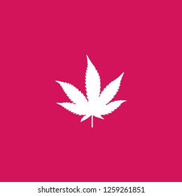 marijuana icon vector. marijuana sign on pink background. marijuana icon for web and app