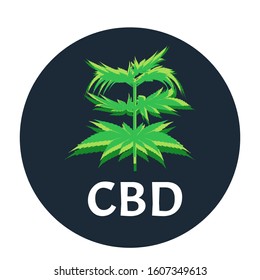 Marijuana icons cbd. Cannabinoid logo. Marijuana leaf oil. Hemp oil. Vector illustration on isolated background.