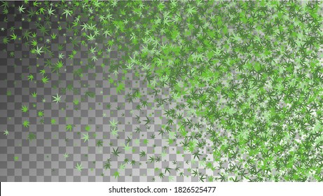 Marijuana Illustration. Ganja Organic Pattern. Transparent Chemical Background.  Grass Design. White Hemp Collection.  Abstract  Marijuana Illustration. Green Marijuana Illustration. 