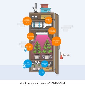 Marijuana indoor growing infographics in flat design.

