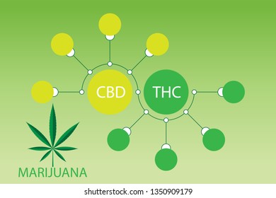 marijuana infographics vector