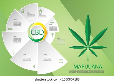 marijuana infographics vector