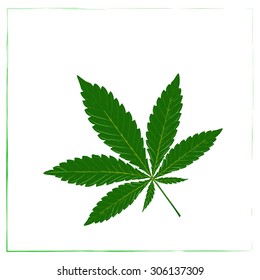 Marijuana leaf in abstract style