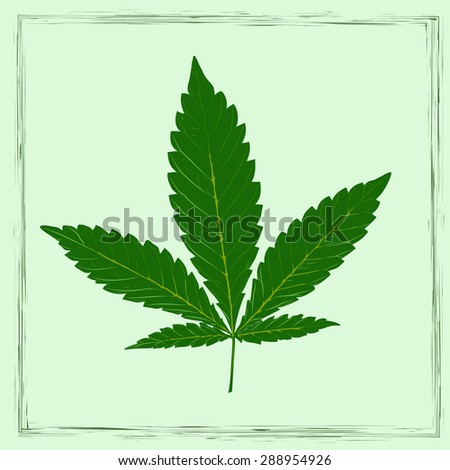 Marijuana leaf in abstract style